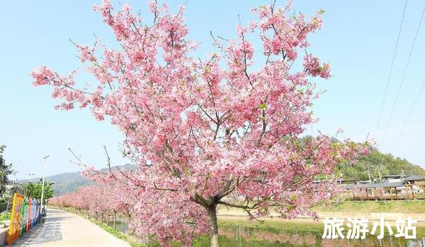 赏花景点：梅江公园