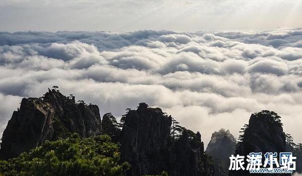 黄山仙境云海海