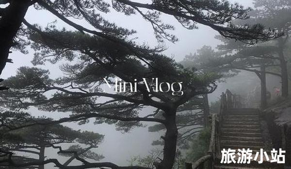 走进山海之间，黄山之旅