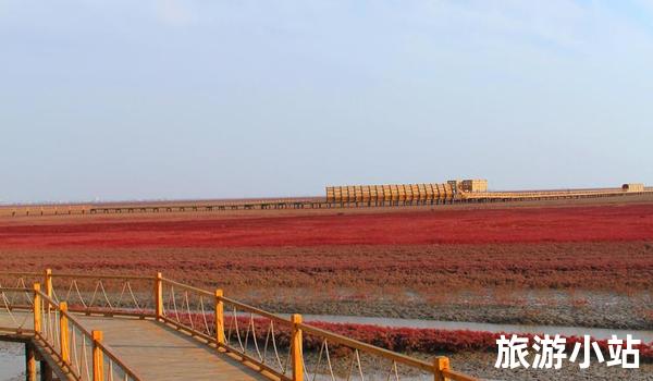 跨越时空的文化之旅